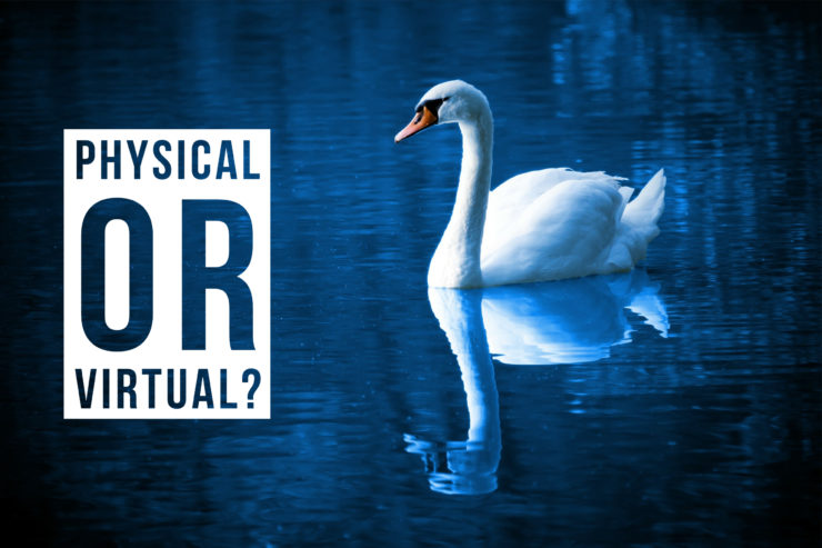 Physical or virtual